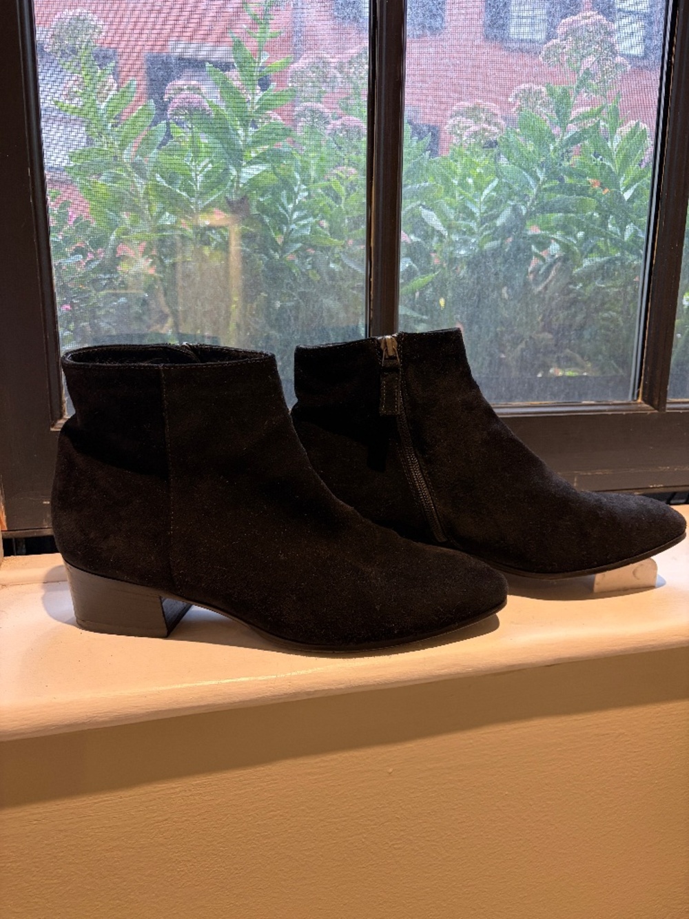 Like New! Aquatalia Black Suede Ankle Boots